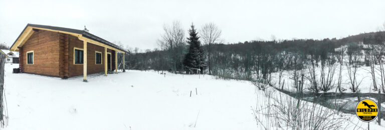 Wildpix_Wolven_SETTING_©_Martin_Steenhaut-12