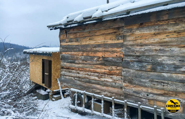 Wildpix_Wolven_SETTING_©_Martin_Steenhaut-16