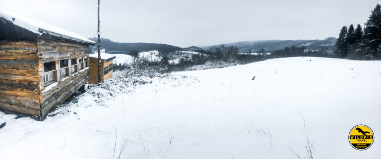 Wildpix_Wolven_SETTING_©_Martin_Steenhaut-17