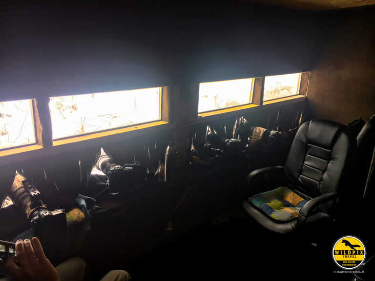 Wildpix_Wolven_SETTING_©_Martin_Steenhaut-18