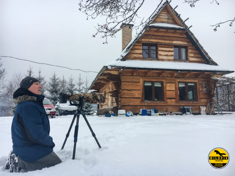 Wildpix_Wolven_SETTING_©_Martin_Steenhaut-19