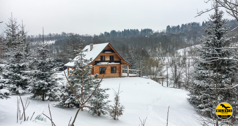 Wildpix_Wolven_SETTING_©_Martin_Steenhaut-20