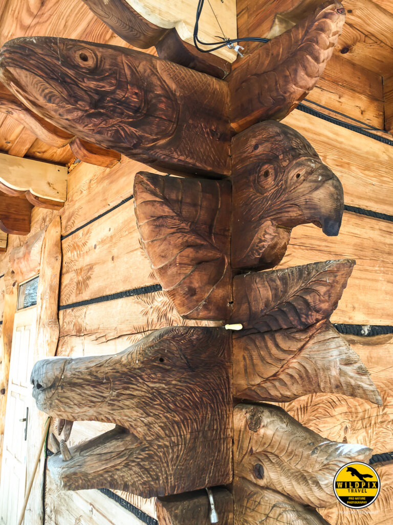 Wildpix_Wolven_SETTING_©_Martin_Steenhaut-23