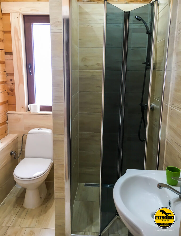 Wildpix_Wolven_SETTING_©_Martin_Steenhaut-25