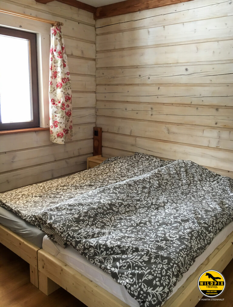 Wildpix_Wolven_SETTING_©_Martin_Steenhaut-26