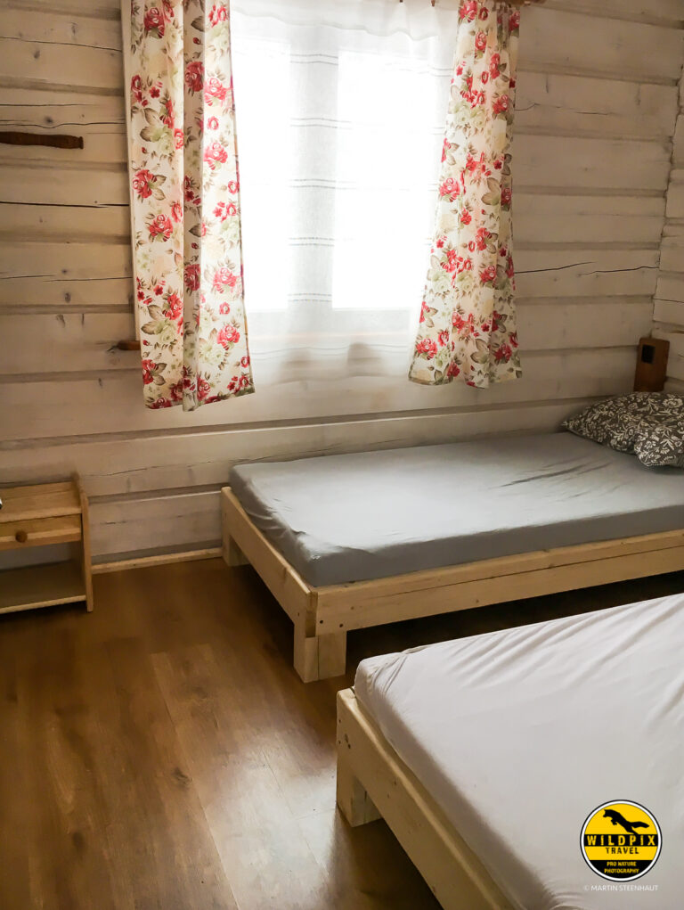 Wildpix_Wolven_SETTING_©_Martin_Steenhaut-27