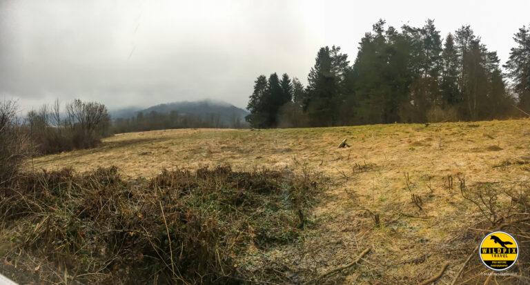 Wildpix_Wolven_SETTING_©_Martin_Steenhaut-3