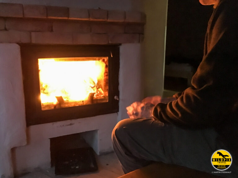 Wildpix_Wolven_SETTING_©_Martin_Steenhaut-5