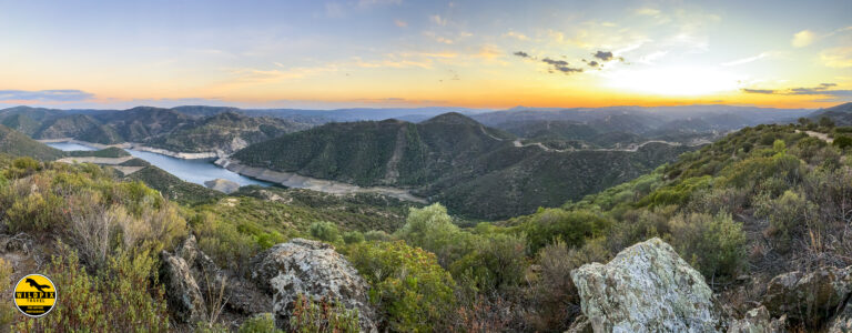 Lynx Andujar hides 2019 © Wildpix-100