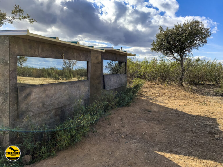 Lynx Andujar hides 2019 © Wildpix-85