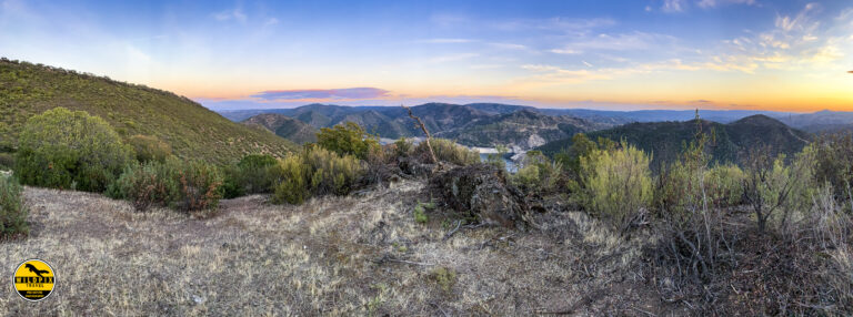 Lynx Andujar hides 2019 © Wildpix-95