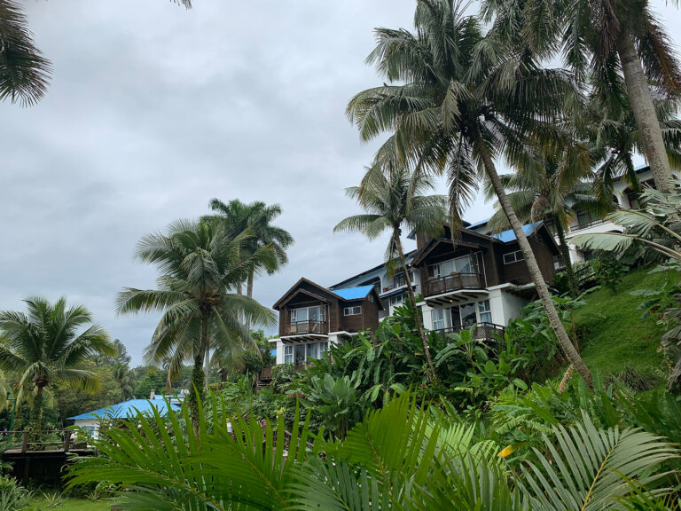 0EF480D9-5209-4651-B627-8F2E7A6CB55A_1_102_o