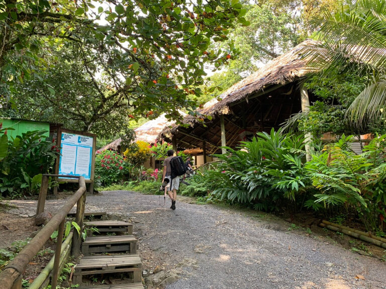 1D448406-D154-4B67-A2EB-D17CE62077B6_1_105_c