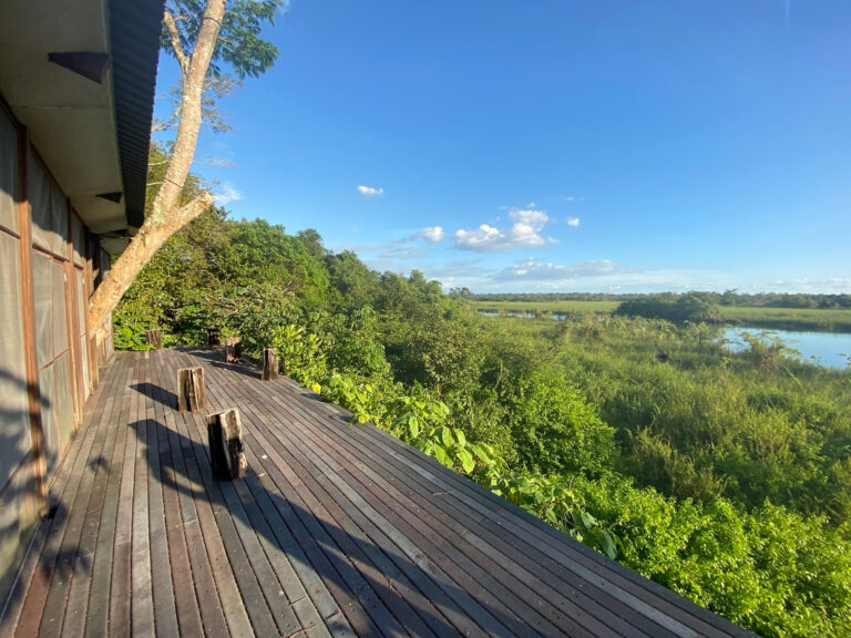 2B416016-BFF7-478F-ABF1-981A179703DE_1_105_c