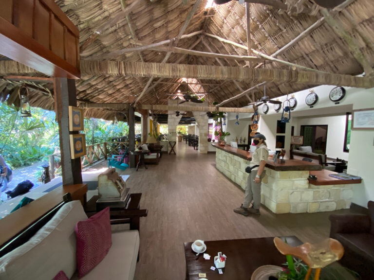 AF5B62F1-5500-4B33-99FB-C5C50BFFA86C_1_105_c