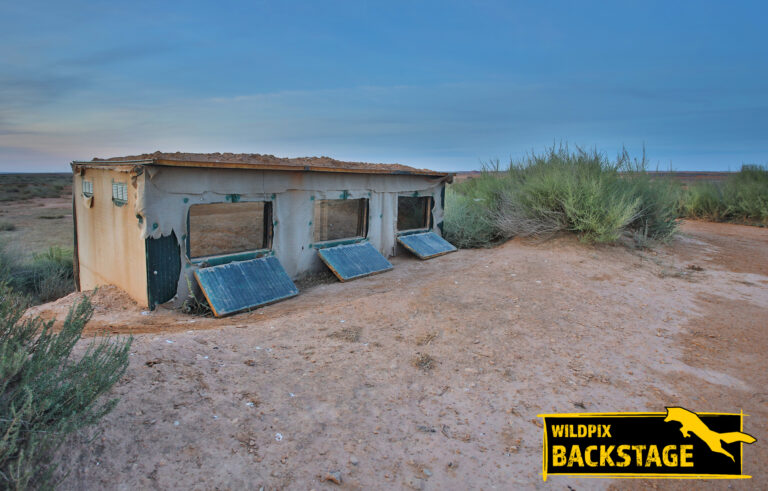 Kopie van Zandhoenhut 1 FB