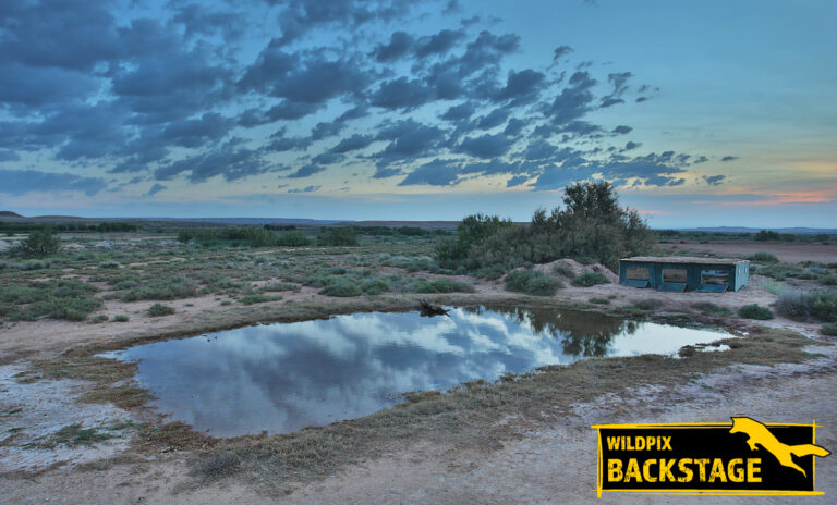Kopie van Zandhoenhut 3 FB