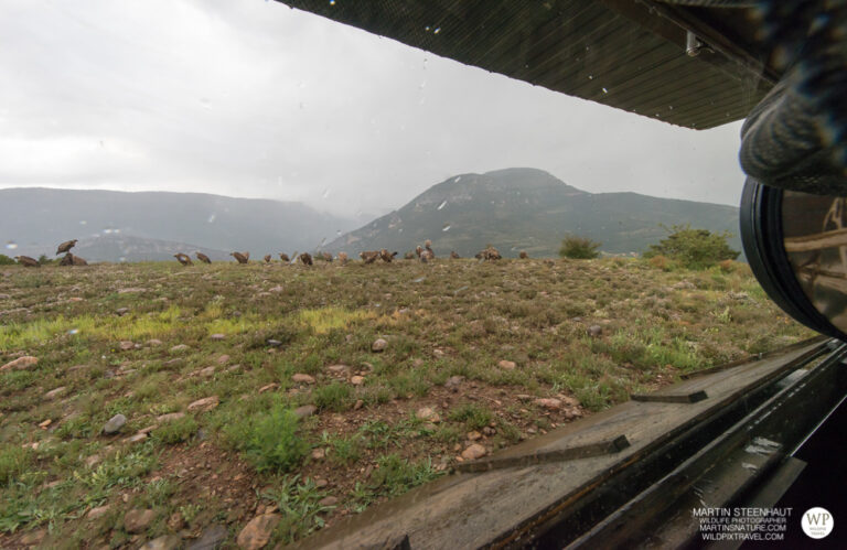 Spanje Wildpix 2015 © Wildpixtravel.com-17