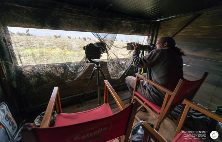 Spanje Wildpix 2015 © Wildpixtravel.com-18