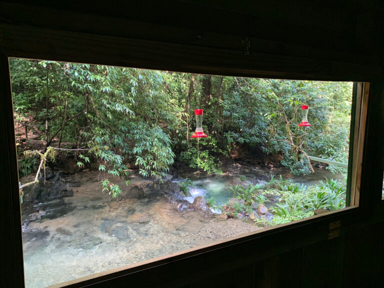 0D5FB611-6339-4136-B8C3-1789F71ED8CF_1_102_o