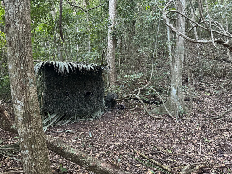 4BFD6DAB-A3DC-4817-86A2-8889B342F6C2_1_102_o