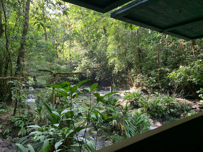 4D991176-E584-48AB-85CE-5693A71DBAA7_1_102_o