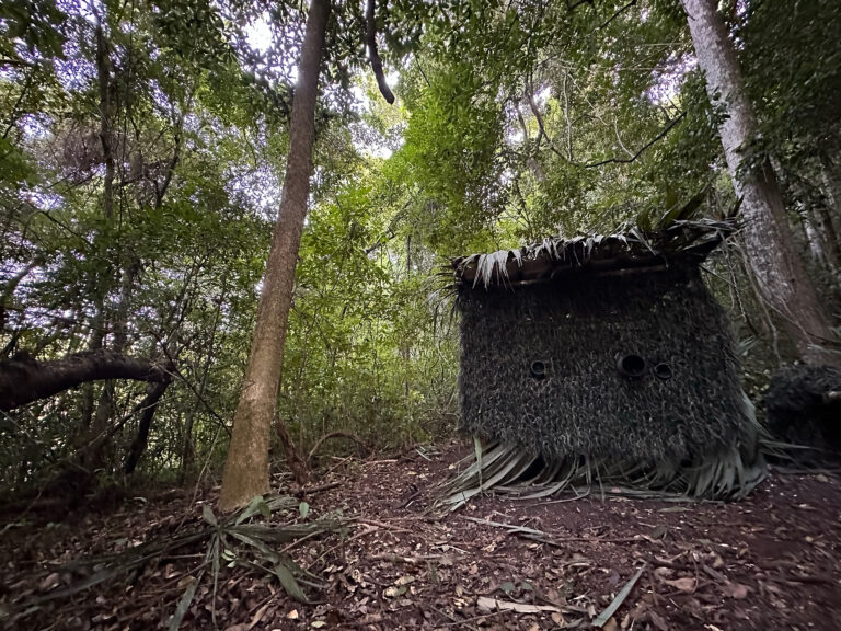 50D0A452-4E02-46FF-8A0C-96E518D4E377_1_102_o