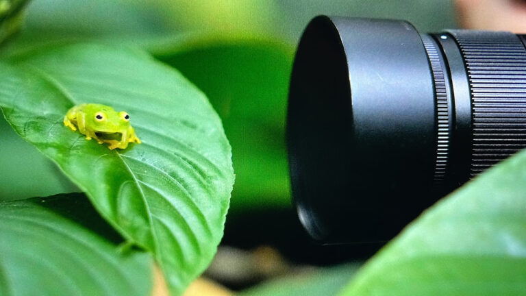 7A0CCBD7-79C8-4671-8229-FF46918C17CA_1_105_c