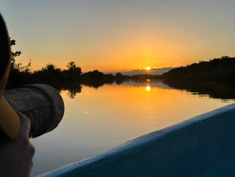 81A8336D-0417-4791-8D1E-13DB08070C35_1_105_c