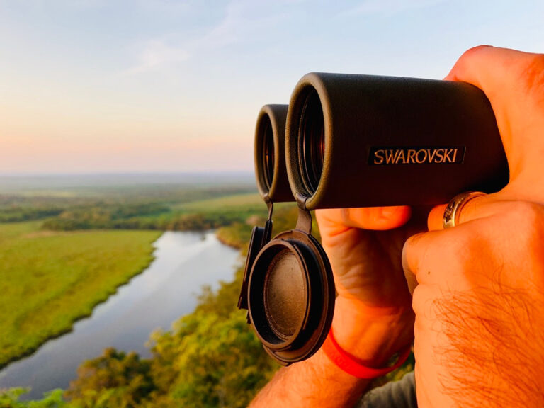 8FA074E2-0AEA-43BA-BF34-9787523360B5_1_105_c