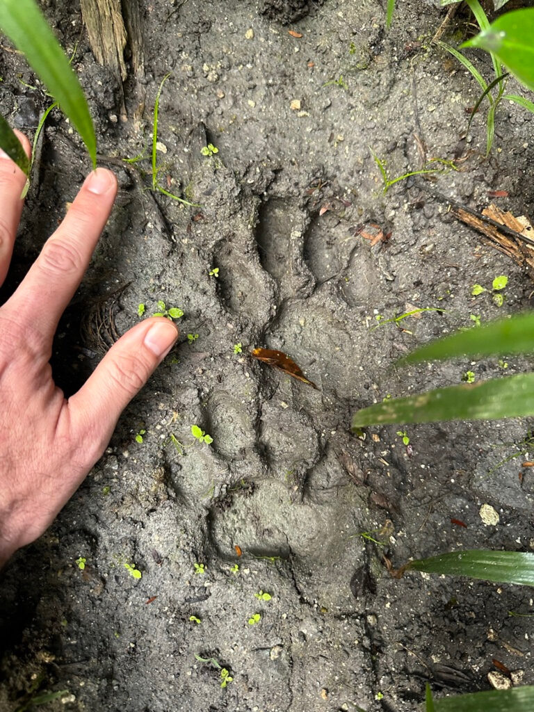 AB2089A6-28A1-4C5B-B08B-FFAFD96BD451_1_105_c