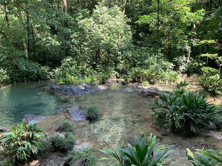 B728FBB5-C81E-4F48-8284-FBBEFFADF62E_1_102_o