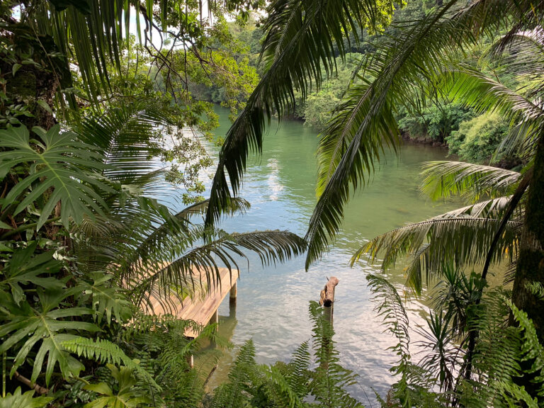 EB4DD4C7-61F8-413D-A728-C90A83660A3C_1_102_o