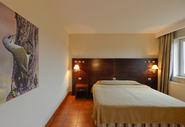 WP - ULTIMA PROMO - WEB1920062