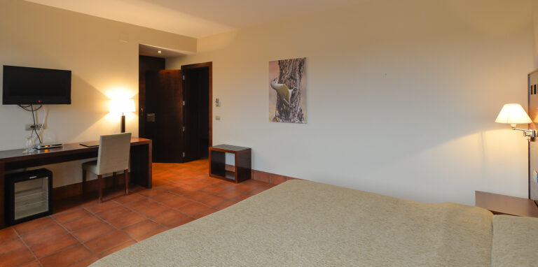 WP - ULTIMA PROMO - WEB1920063