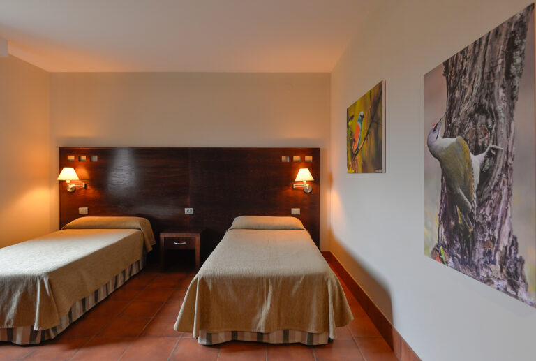 WP - ULTIMA PROMO - WEB1920065