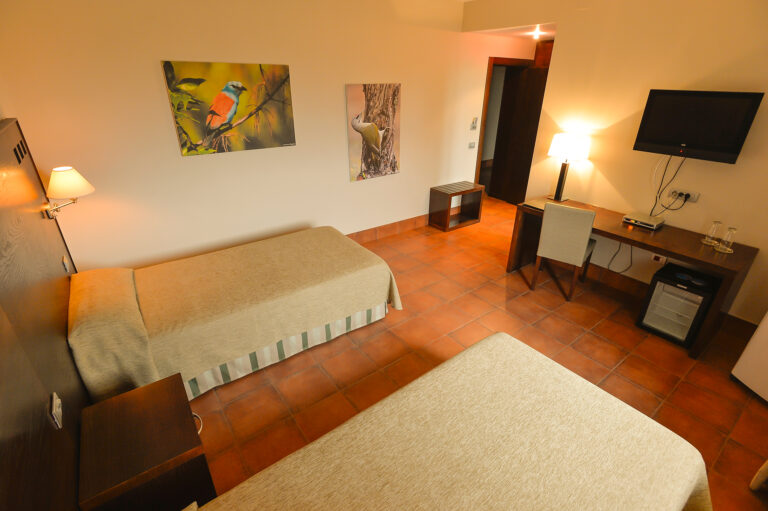 WP - ULTIMA PROMO - WEB1920066