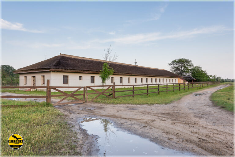 WP - ULTIMA PROMO - WEB1920067