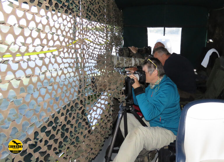 WP - ULTIMA PROMO - WEB1920069