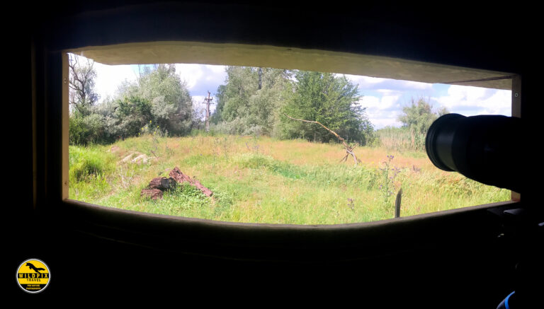 WP - ULTIMA PROMO - WEB1920071