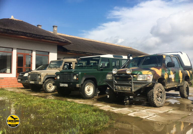 WP - ULTIMA PROMO - WEB1920072