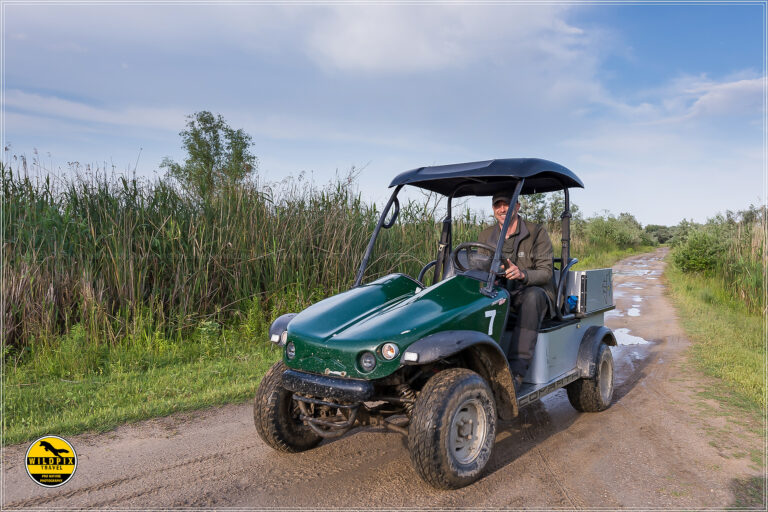 WP - ULTIMA PROMO - WEB1920073