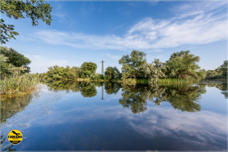 WP - ULTIMA PROMO - WEB1920074