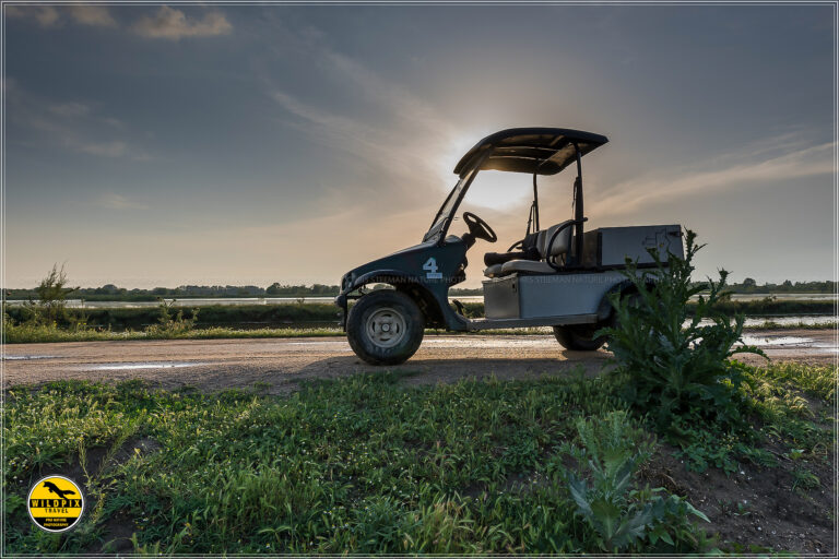 WP - ULTIMA PROMO - WEB1920075