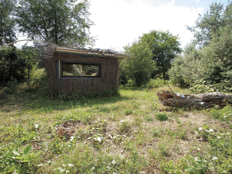 WP - ULTIMA PROMO - WEB1920076