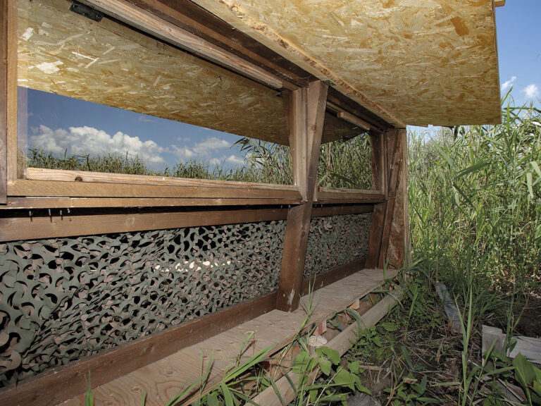 WP - ULTIMA PROMO - WEB1920077